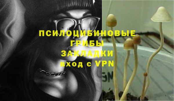 гашик Абдулино