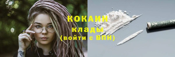 ГАЛЛЮЦИНОГЕННЫЕ ГРИБЫ Абаза